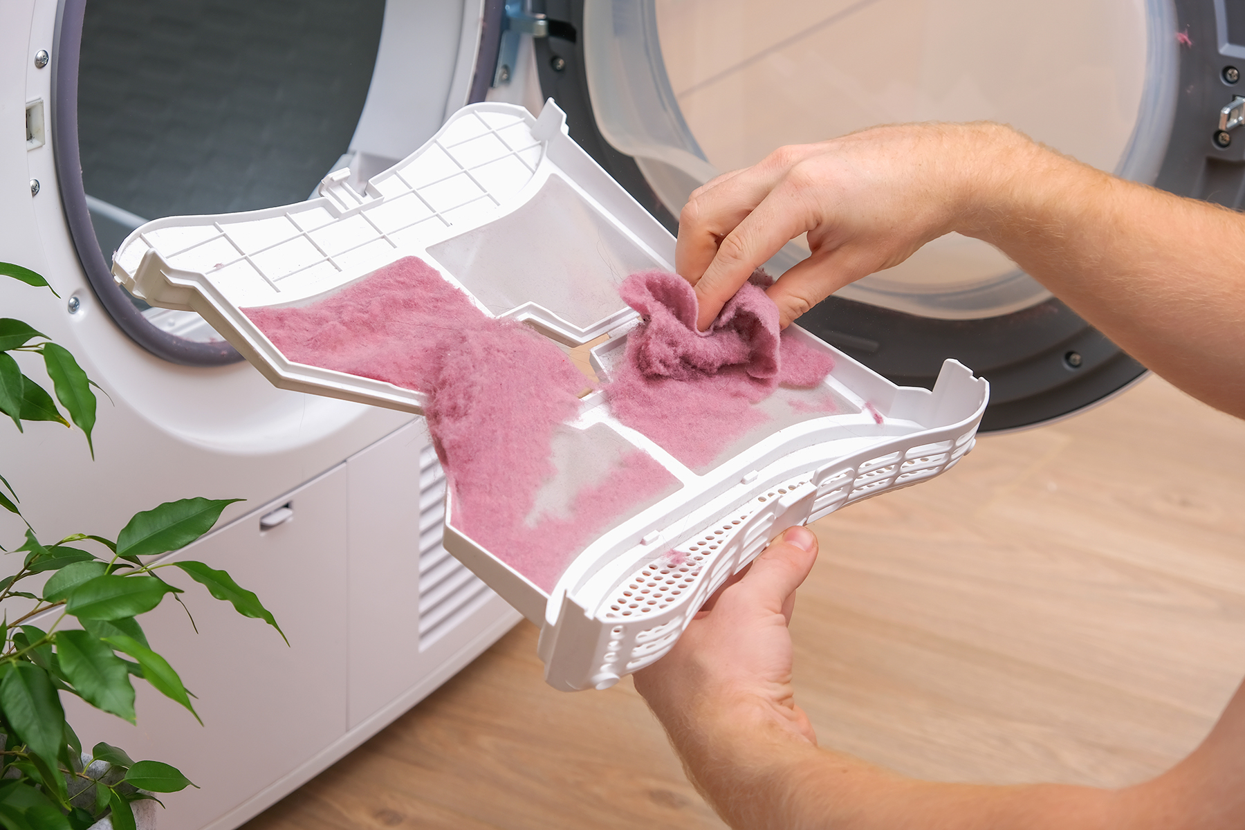 A man holds a dirty dryer filter. A man collects lint, hair, wool from the filter of drying machine. Red lint on the dryer filter. Dirty filter dryer. Excessive Lint